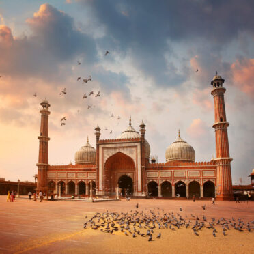 Delhi & Agra and Jaipur Tour- World Tour Management