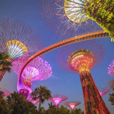 Glimpse of Singapur(5 Day Tour)- World Tour Management