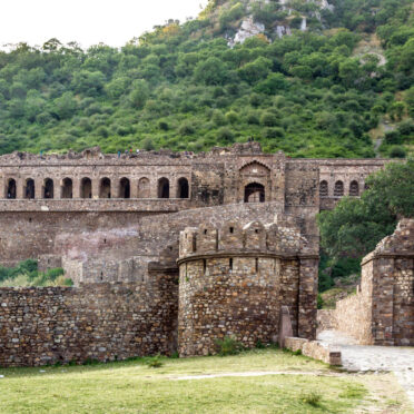 Rajasthan Wildlife Tour- World Tour Management