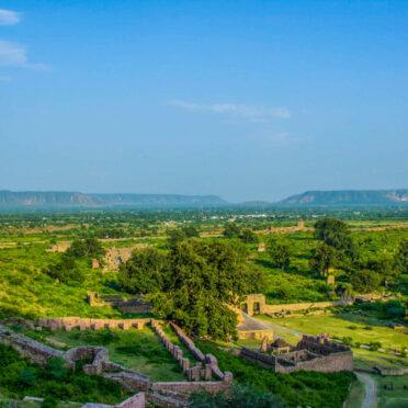 Rajasthan Wildlife Tour- World Tour Management