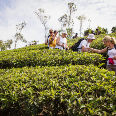 Secret Southern India- Kerala- World Tour Management