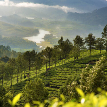Secret Southern India- Kerala- World Tour Management
