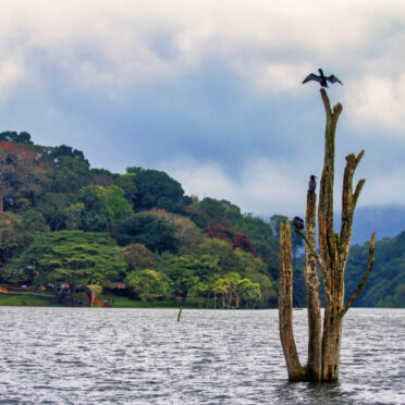 Secret Southern India- Kerala- World Tour Management