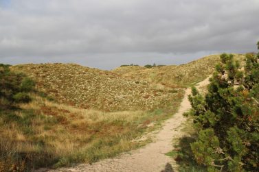 Haervejen: Denmark’s Camino from Viborg to Jelling