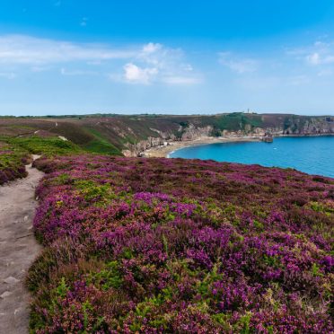 5 Days French Coast Tour