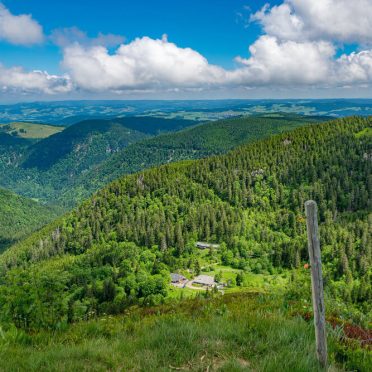 Best of the Zabljak