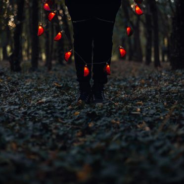 Following Dracula's steps!