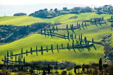 The Best of the Tuscany