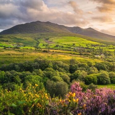 The Kingdom of Kerry- World Tour Management