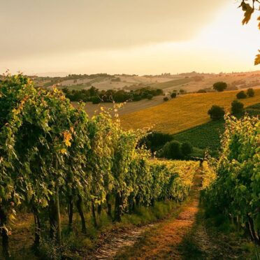 Serbia Four Day Private Tour- World Tour Management
