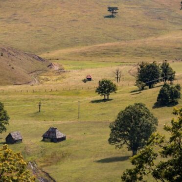 Serbia in Seven Days Private Tour- World Tour Management