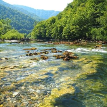Slovenia SUP, Hike and Track Brown Bears- World Tour Management